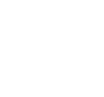 dazzling e-solutions